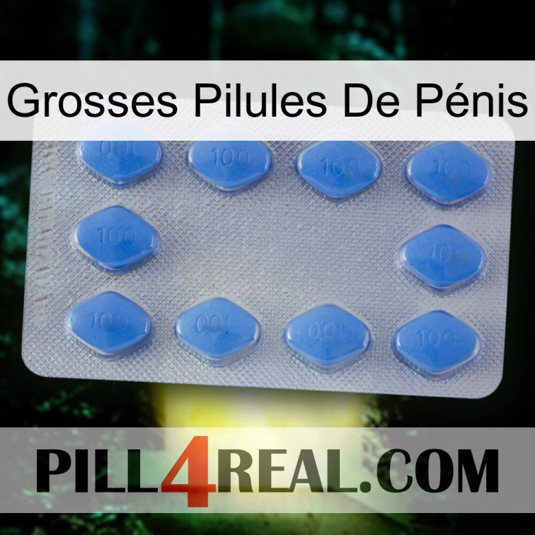 Grosses Pilules De Pénis 21